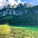 202 Apartment Gosau