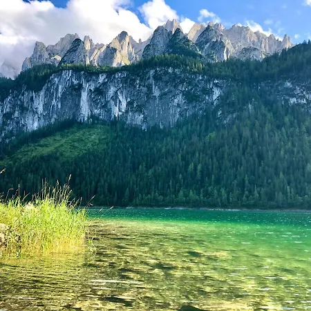 202 Apartment Gosau