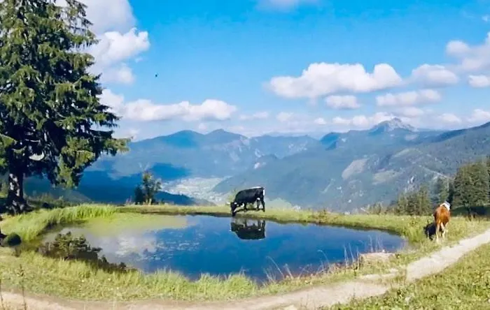 Appartement 202 Gosau