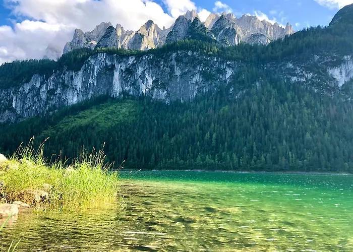 202 Appartement Gosau